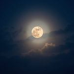 Flux_Dev_A_serene_and_majestic_full_moon_glowing_with_a_soft_c_3